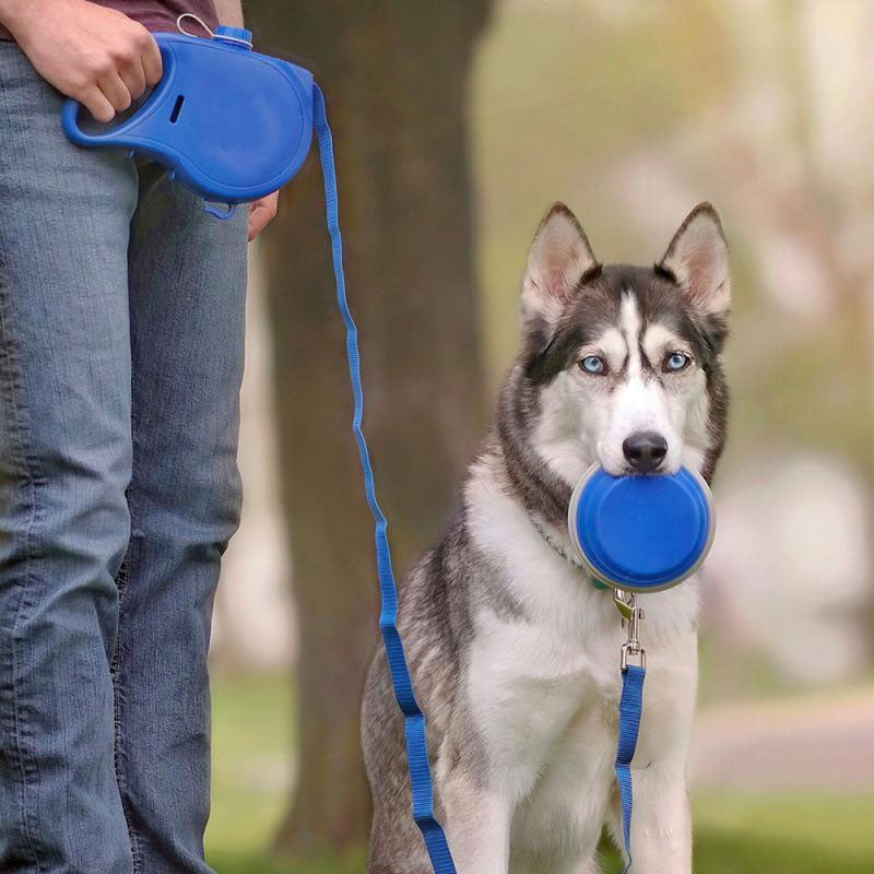 Retractable Dual Double Pet Leash