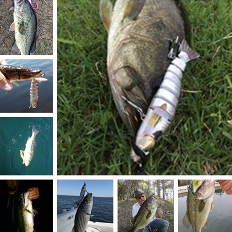 Multi-Section Bionic Fishing Lure