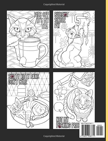 Funny Kitty Memes Coloring Book