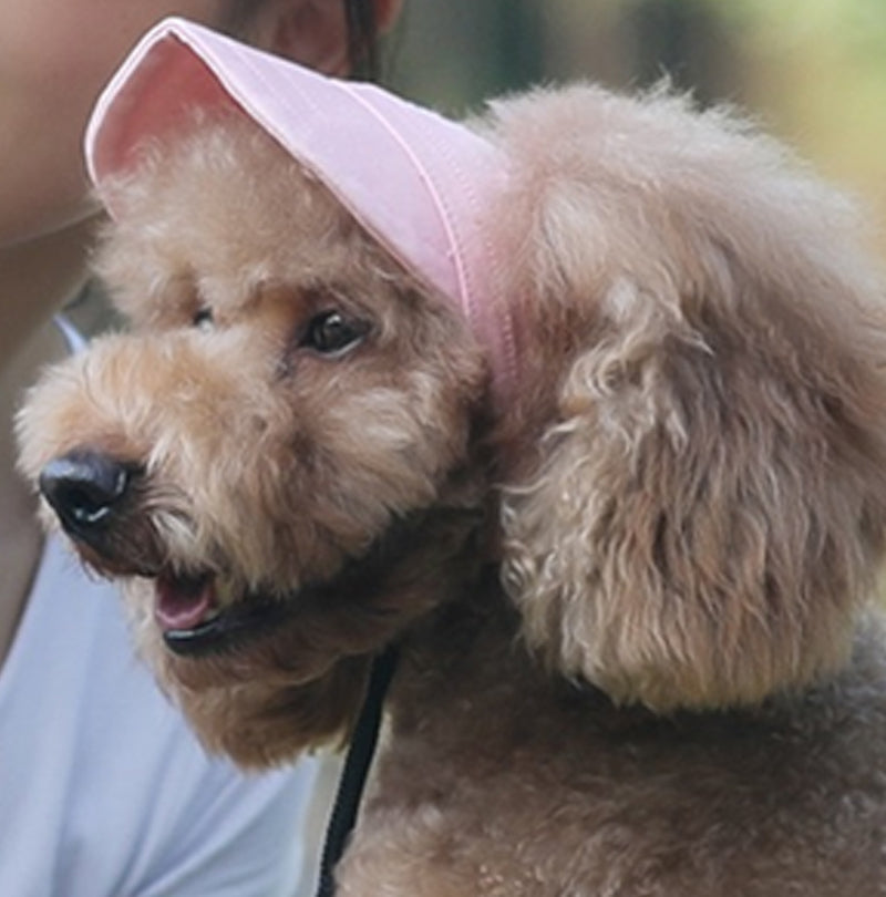 🔥Outdoor Sun Protection Hood For Dogs